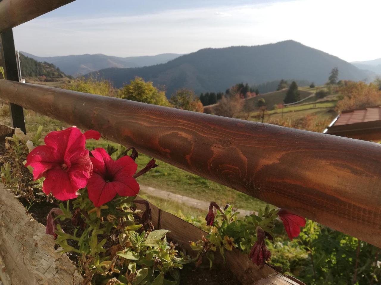 Guest House Panorama Gela Εξωτερικό φωτογραφία